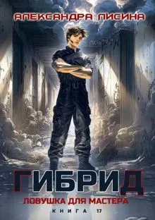 Обложка: 17. Ловушка для мастера