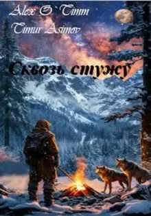 Обложка: Сквозь стужу