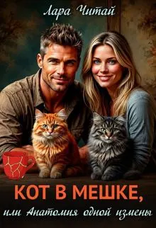 Обложка: Кот в мешке, или Анатомия одной измены