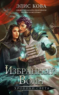 Обложка: Избранный воин