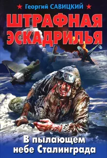 Обложка: Штрафная эскадрилья. В пылающем небе Сталинграда