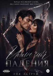 Обложка: Иллюзия падения